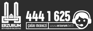Erzurum Büyükşehir Belediyesi logo