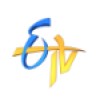 E -TV network logo