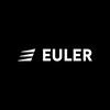 Euler Motors logo