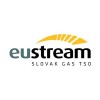 Eustream logo