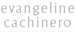 Van Evangeline Cachinero logo