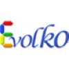 Evolko India logo