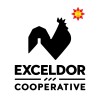 Exceldor logo