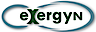 Exergyn logo