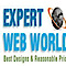 Expert Web World logo