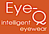 Eye-Q Intelligent Eyewear logo