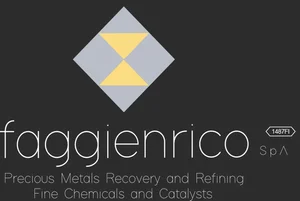 Faggi Enrico logo