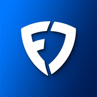 FanDuel Group Inc logo