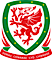 Football Association Of Wales logo