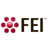 FEI logo