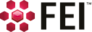 FEI logo