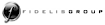 The Fidelis Group logo