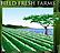 Field Fresh Farms logo