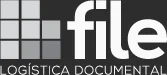 File logo