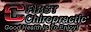 First Chiropractic of Arizona logo