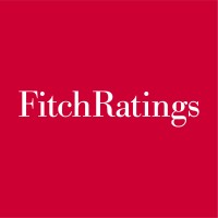 Fitch Group logo