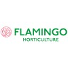 Flamingo Horticulture logo