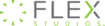 Flex Studios logo