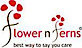 Flower N Ferns logo