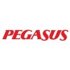 Pegasus Airlines logo