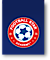 Football Star Academy logo