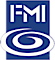 FMI logo