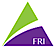 FRI Security logo