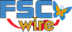 FSCwire logo