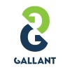 Gallant Finland logo