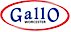 Gallo Motor Center logo