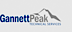 Gannett Peak Technical Services logo