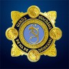 An Garda Siochana logo