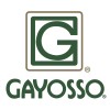 Grupo Gayosso logo