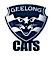 Geelong Cats logo