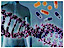 Genomic Valley Biotech logo