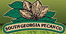 South Georgia Pecan logo