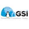 GSI logo