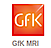 Gfk Us logo