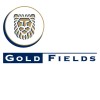 Gold Fields Netherlands Services logo