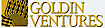 Goldin Ventures logo