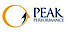 Peak Performance Marketing Solutions logo