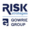 Gowrie Group | Division Of Risk Strategies logo