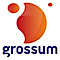 Grossum {Symfony Development logo