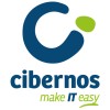 Cibernos logo