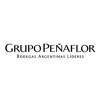 Grupo Peñaflor logo