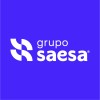 Grupo Saesa logo