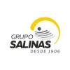 Grupo Salinas logo