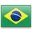 Grupo Souza Silva logo