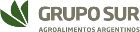 Grupo Sur logo