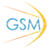 GSM Development logo